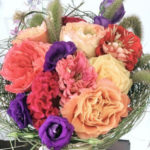 Meet your Posher, Tu